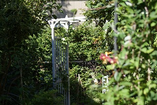 f0170524_10333245.jpg