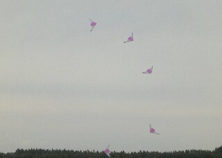 f0181524_112026.jpg
