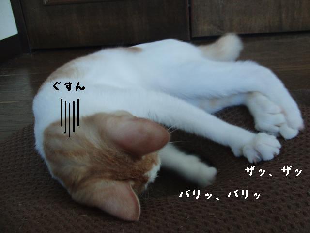 a0165526_2350948.jpg
