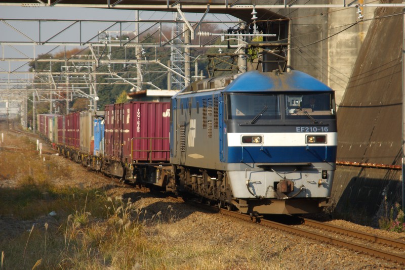 f0203926_1846369.jpg