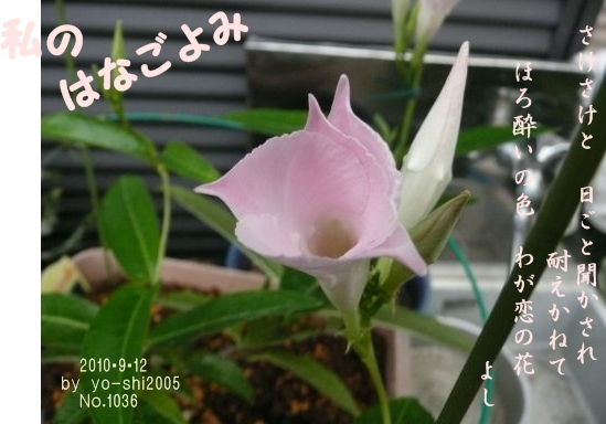 e0033229_16503711.jpg
