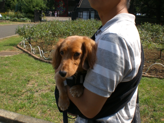 代々木公園へ　＆　お礼♥_d0139036_10384794.jpg