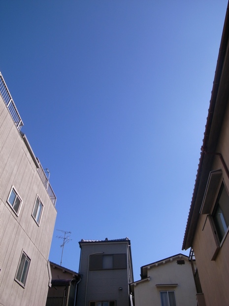 f0176239_200921.jpg