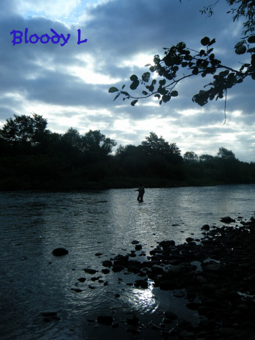 e0033745_233344.jpg