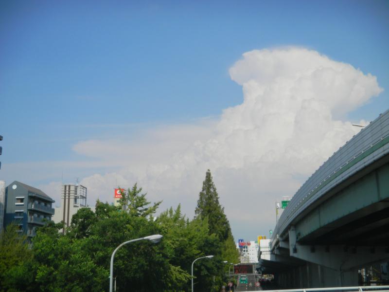 a0170146_9393192.jpg