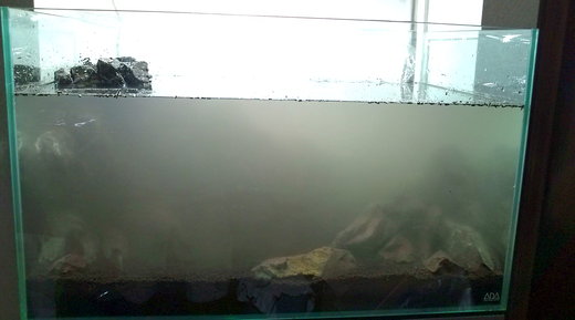 b0202747_2044480.jpg