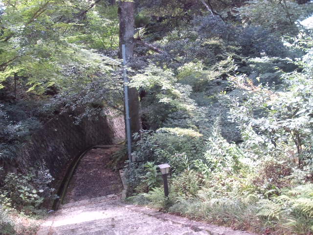 e0034047_13155148.jpg