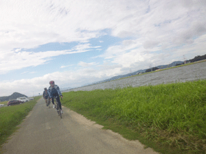 f0229250_17183071.gif