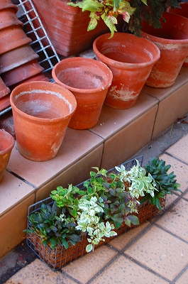 e0025655_65912.jpg