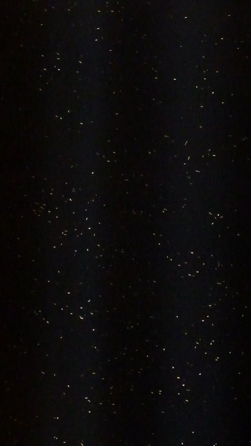 9・１１　今日の写真　すごい_f0088456_14231054.jpg