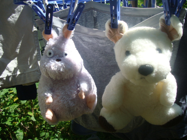 f0198556_201544.jpg