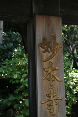 夏の終わりの鎌倉へ - 妙本寺、安国論寺_f0214858_1749839.jpg