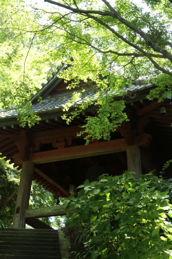 夏の終わりの鎌倉へ - 妙本寺、安国論寺_f0214858_1750113.jpg