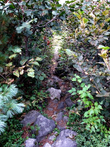 b0165760_20354065.jpg