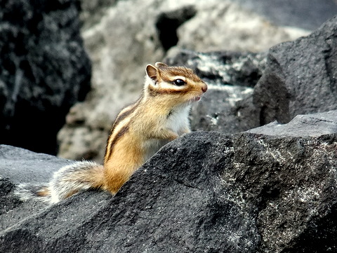 b0165760_20454498.jpg