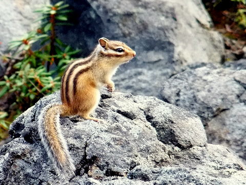 b0165760_2047092.jpg
