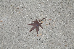 c0188961_9554255.jpg