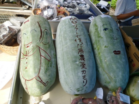 野菜市_f0186361_1823349.jpg