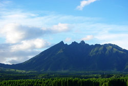 c0176366_17144065.jpg