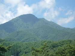 e0195766_02567.jpg