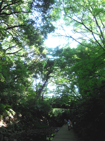 b0145668_10325216.jpg