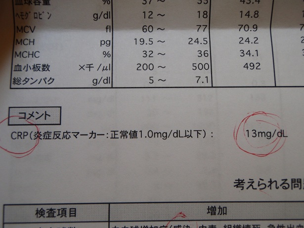 要入院だけど、なつおさんは　家にかえります。。。_f0096569_10473878.jpg