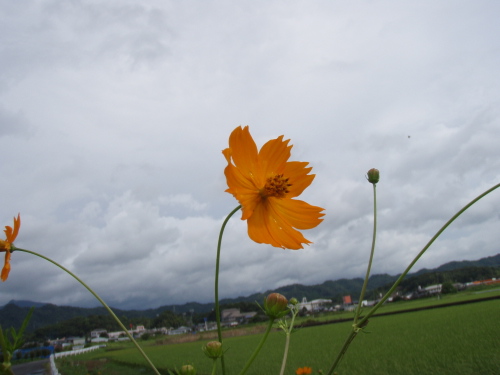 秋近し_a0077071_164492.jpg