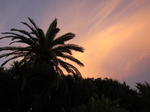 a0167672_22173399.jpg