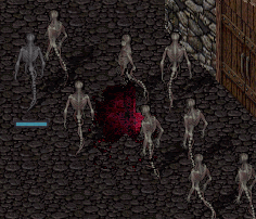 b0190672_16324895.gif