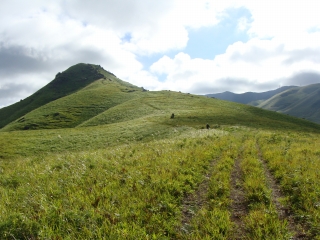 d0182075_4225762.jpg