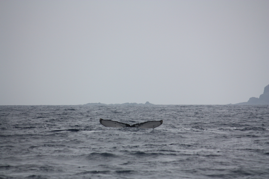 a0167480_10124794.jpg