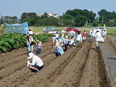 c0145581_10445.jpg