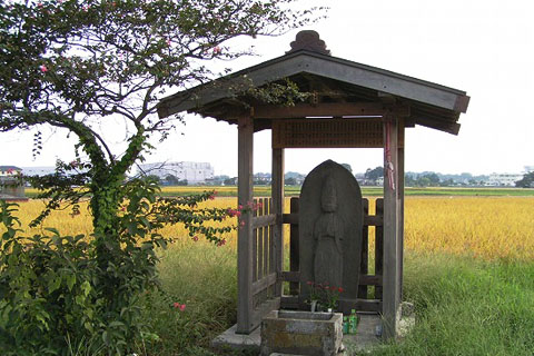 散歩道の木の実_f0030085_213332.jpg