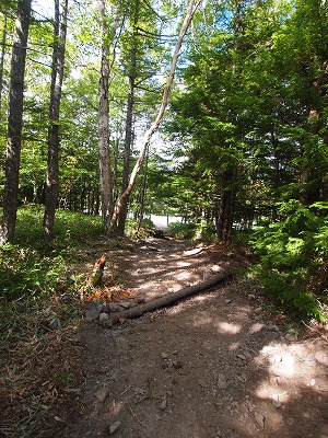 e0100086_8361429.jpg