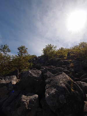 e0100086_8395845.jpg