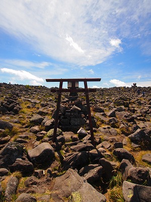 e0100086_847487.jpg