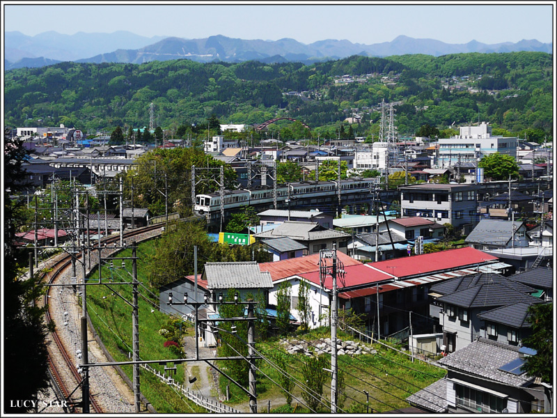 秩父の芝ざくら_a0142092_2332692.jpg