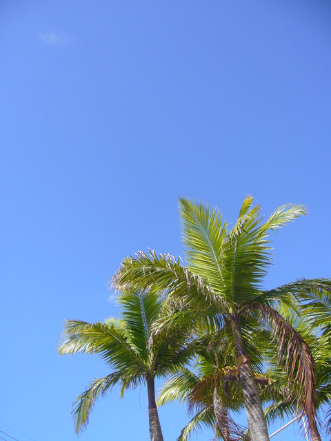 ブラッシュアップ♪_d0091994_1958587.jpg