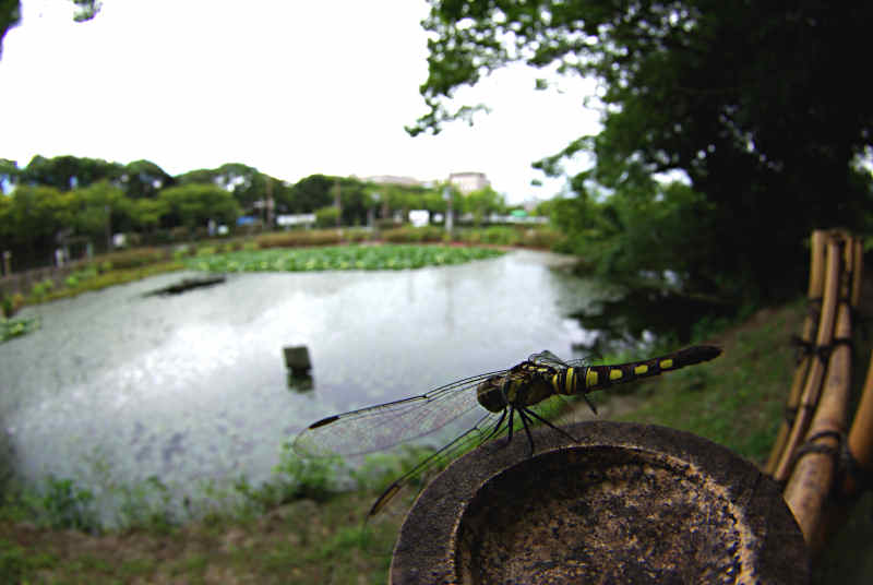 f0204094_16275123.jpg