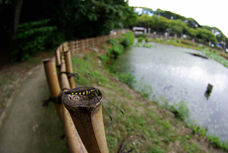 f0204094_16281261.jpg
