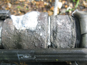 e0120896_6505029.jpg