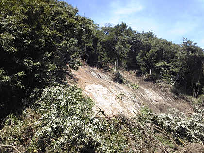 f0156297_16583737.jpg