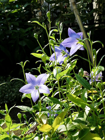 f0239100_1151027.jpg