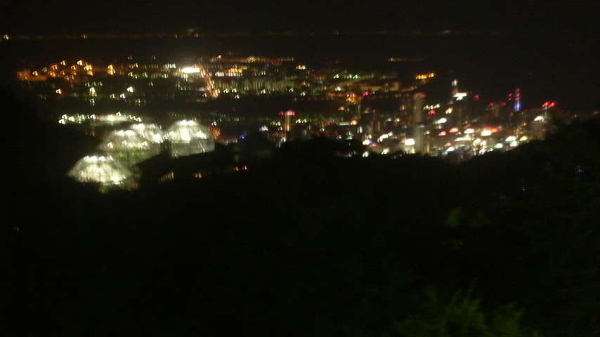 a0098307_0185846.jpg