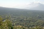 f0143007_2371642.jpg