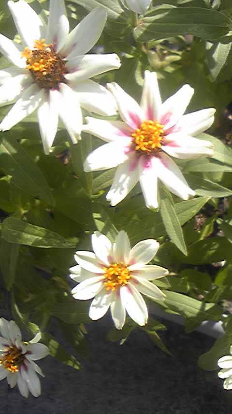 f0014209_2327487.jpg