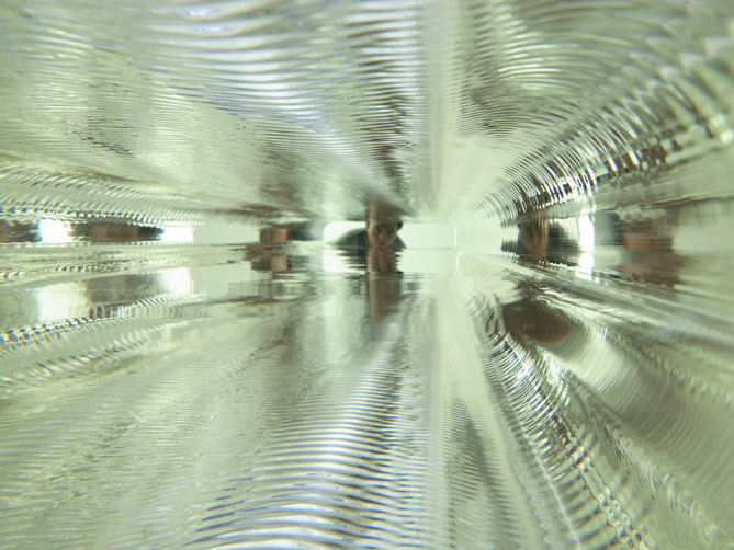 ネイチャー・センス展_f0201310_15241851.jpg