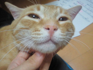 しつこいなぁ_f0178313_1112791.jpg