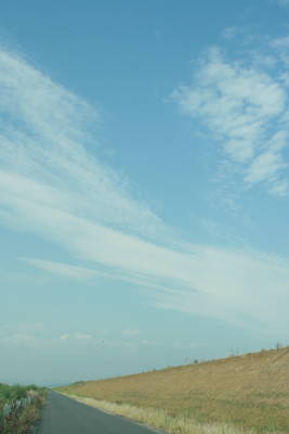 f0119416_21225655.jpg