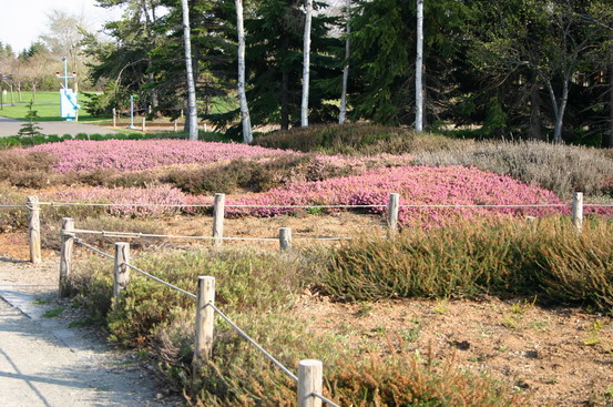 d0143719_1128199.jpg